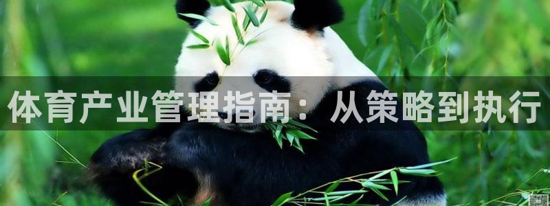 必一体育是哪里的台子