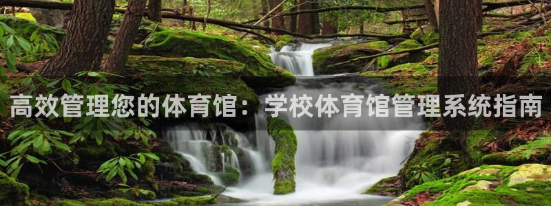 必一体育下载app：