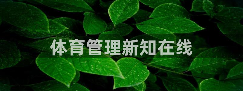 必一体育官网ios下