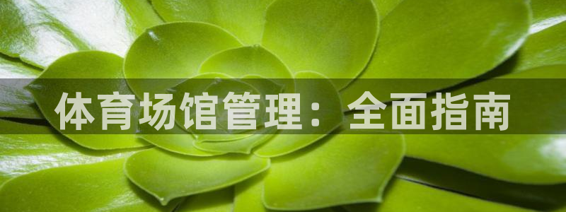 必一体育网页登陆