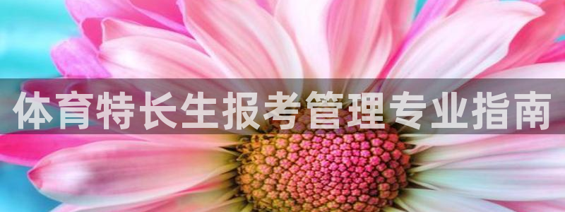 必一体育app官方