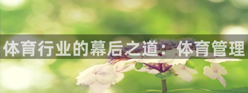 必一运动听的歌：体育