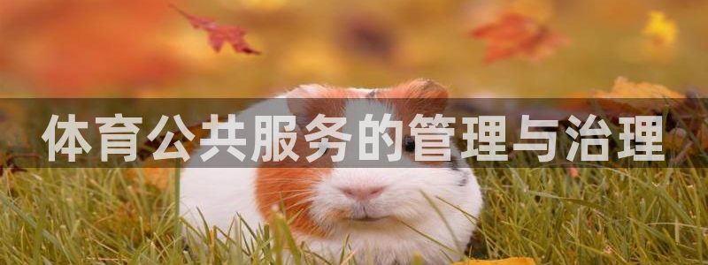 必一体育APP：体育