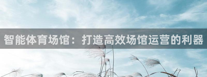 必一体育可靠吗