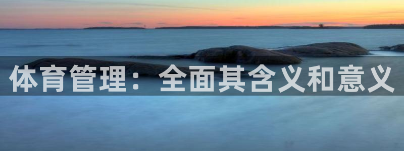 必一体育手机下载：体