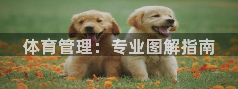 必一体育下载app下