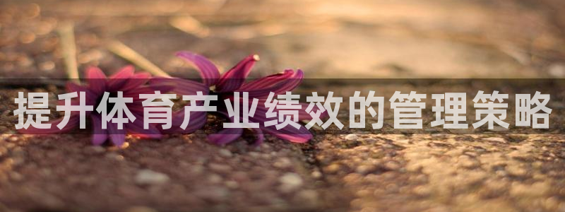 必一体育黑平台