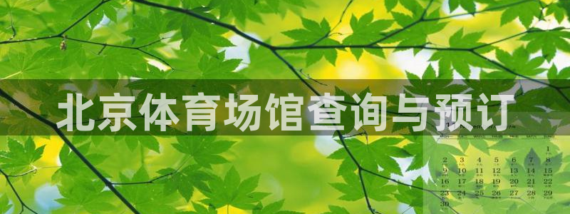 必一体育运动官网