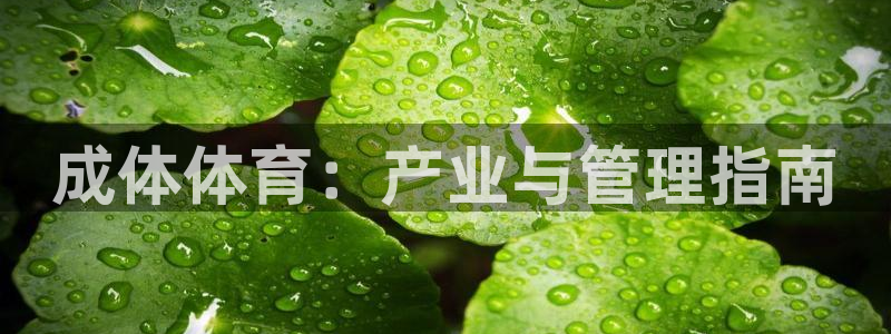 必一运动tieba.baidu.com