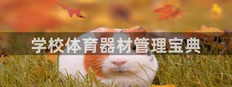 必一体育app官方下载