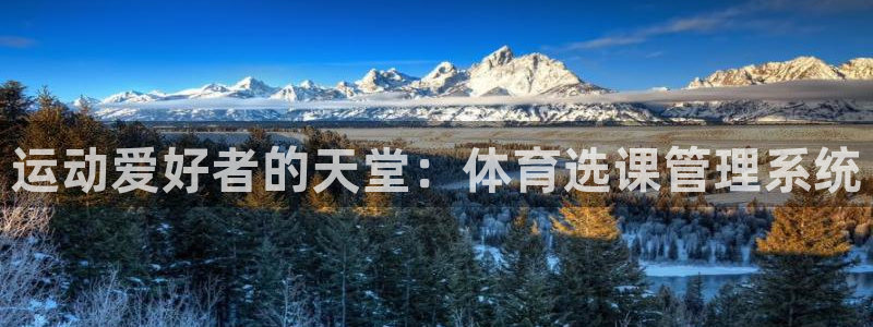 必一体育sportB体育