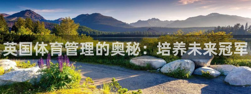 必一体育在线登录：英