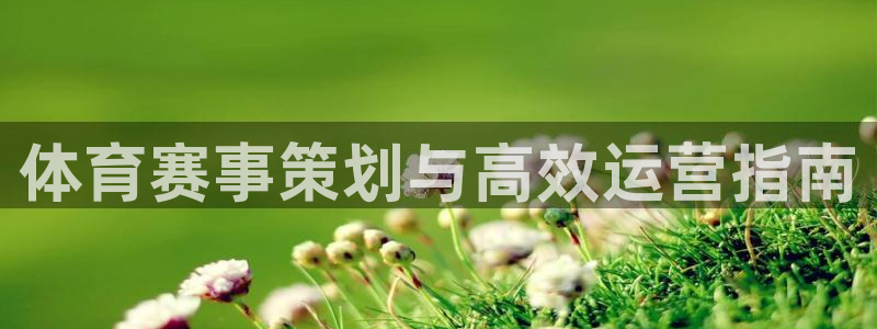 b体育必一运动网页版