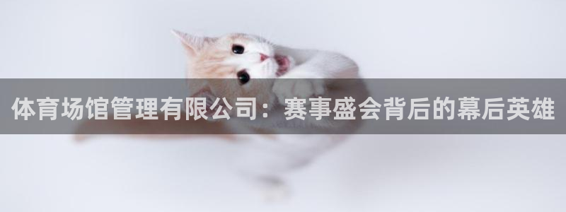 必一体育官网入口