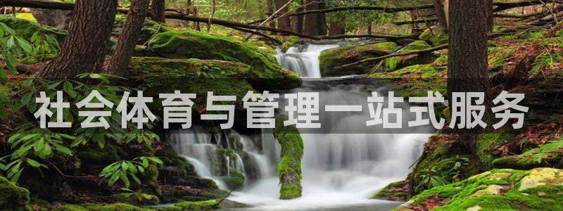 b体育必一运动网页版在线登录入口