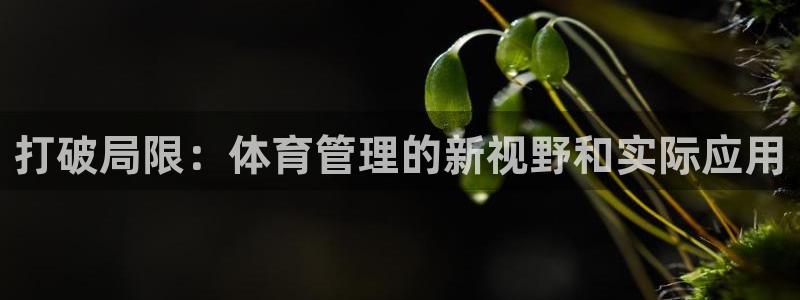 必一运动官网登录入口