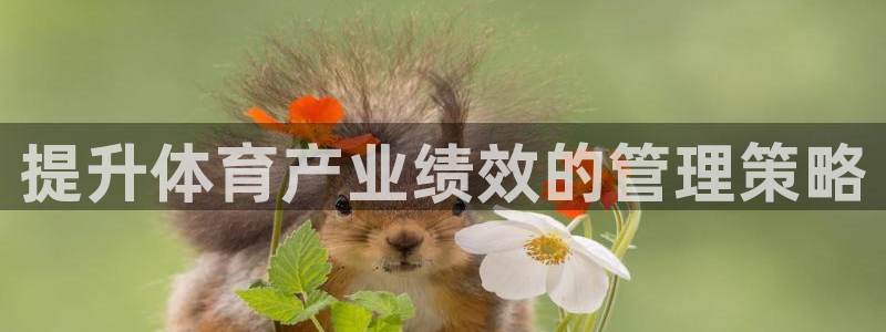 必一体育最新官网入口首页