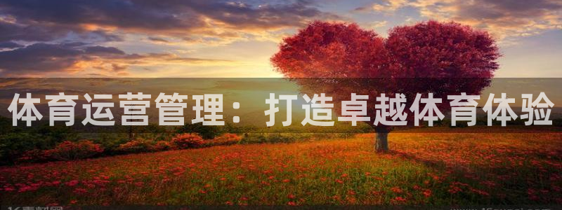 必一体育APP下载安装