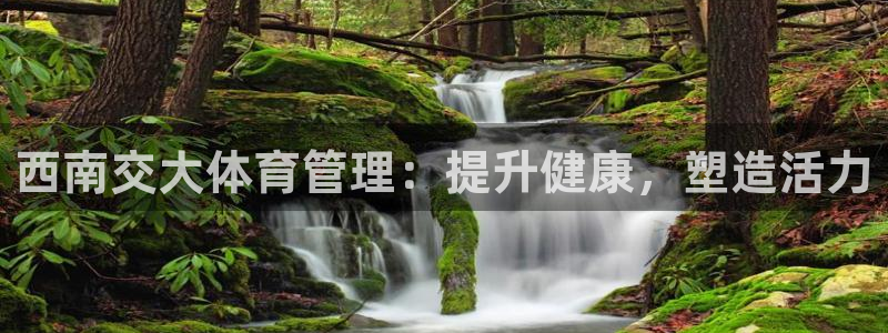 必一体育app官方正版下载