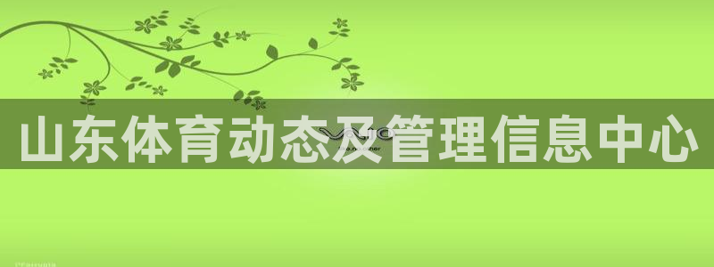 必一体育运动app下