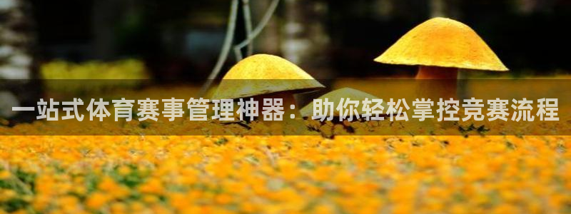 必一运动·(B-Sports)