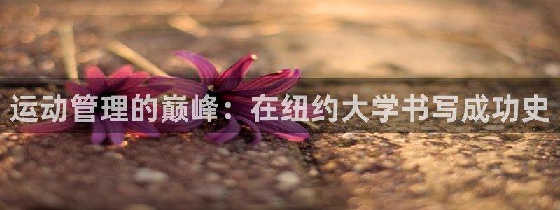 必一体育官方下载入口