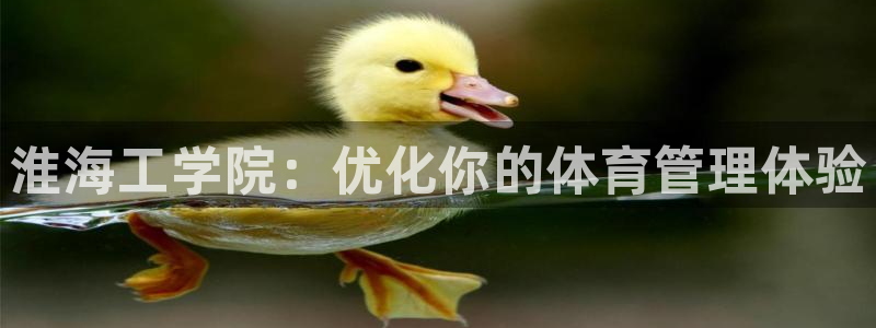 必一体育APP下载安装