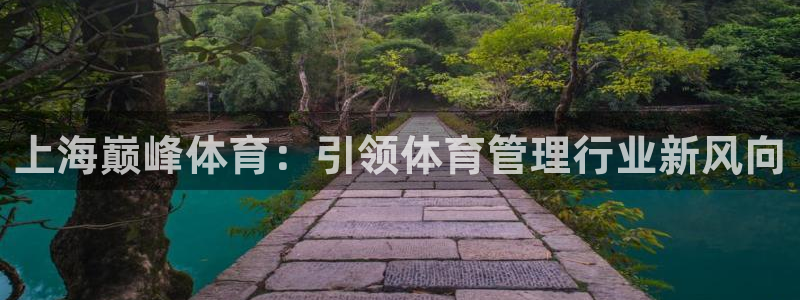 必一体育app下载装机吧