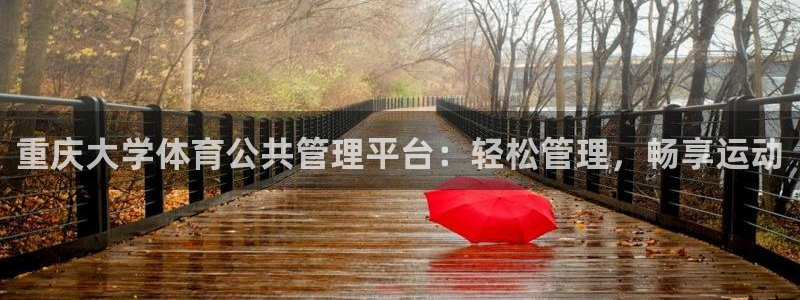 必一体育app下载最