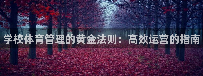 必一运动体育官网下载