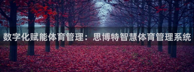 必一体育在线官网