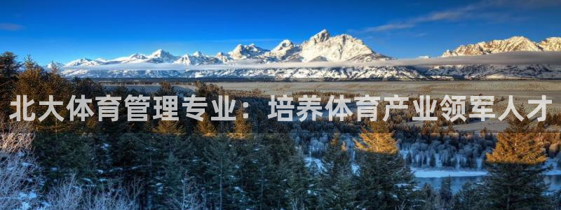 必一体育app下载安