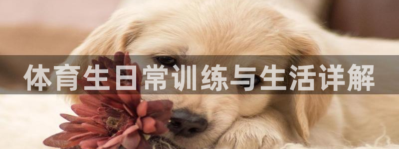 必十二和必一的副作用