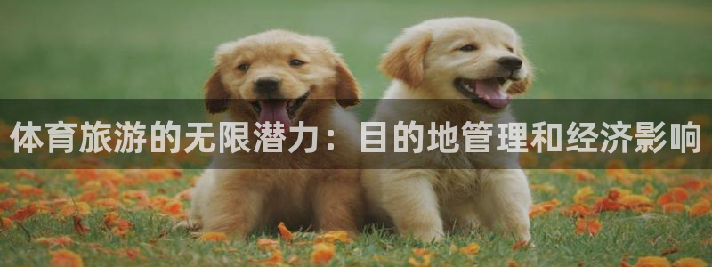 必一体育在线入口：体