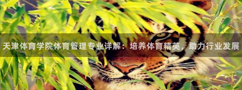 必一体育下载入口：天