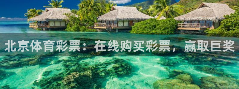 必一体育周公：北京体