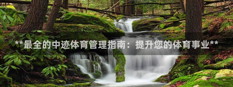 必一体育运动app下