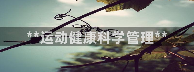 必一体育sport下载