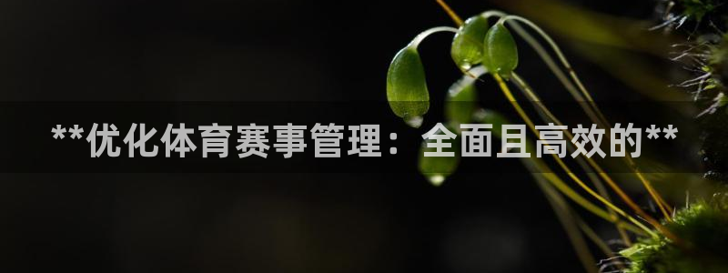 必一体育登陆：**优