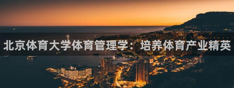 必一体育app下载装机吧