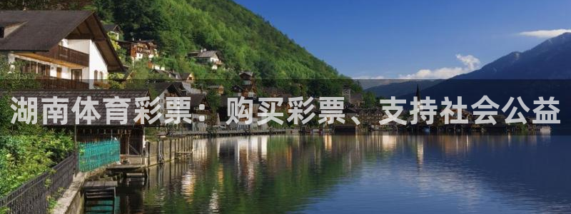 必一运动 b 体育素