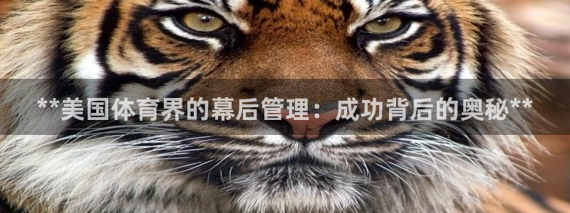 必一运动验证码