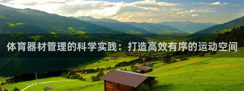 必一体育电子app