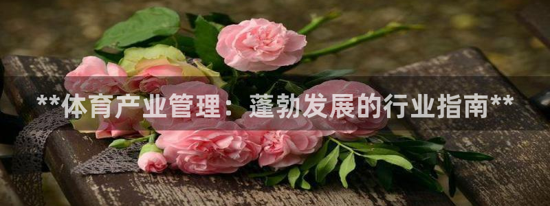 必一体育能提现大金额