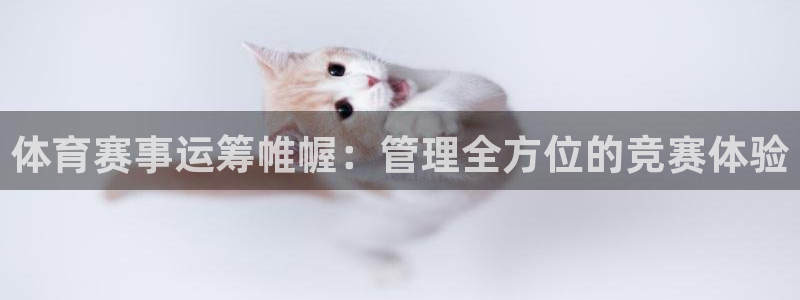 必一体育官方app下载