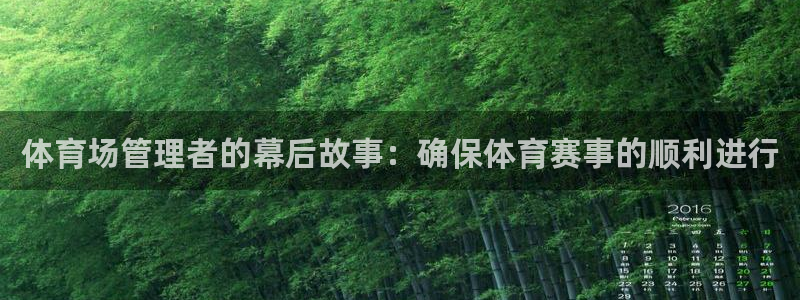 必一体育sport网页版