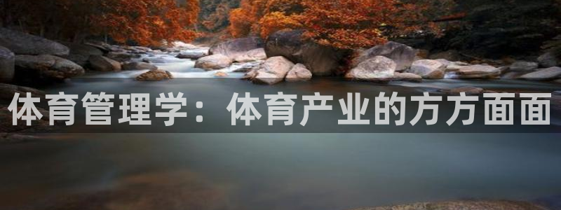 必一体育流水线是什么意思