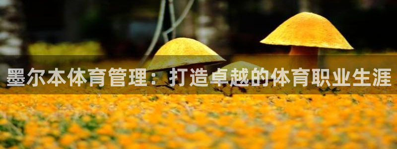 必一体育网站：墨尔本