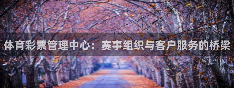 必一运动官网入口：体
