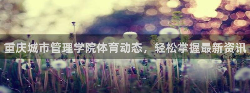 必一体育sport下载